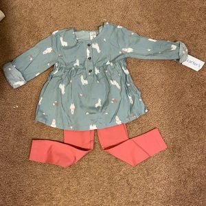 Llama outfit